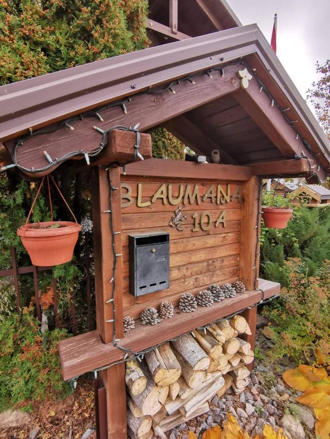 Garden Chalet داوُجافبيلسْ المظهر الخارجي الصورة